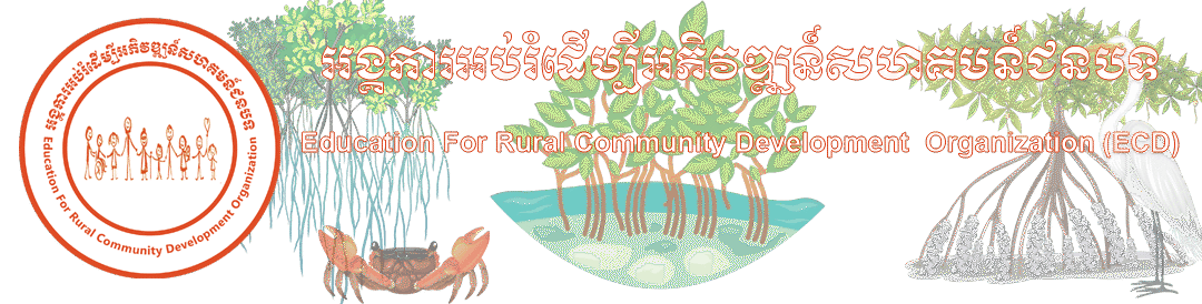 ECD